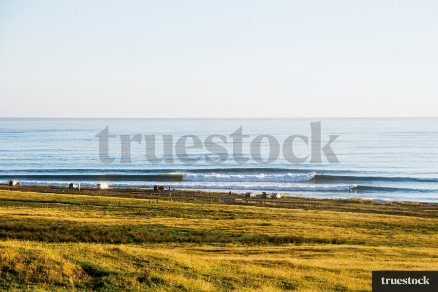 Ning Nongs Surf Break - Wairarapa