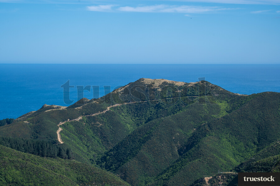 Scenic trek on a mountain in Wellington