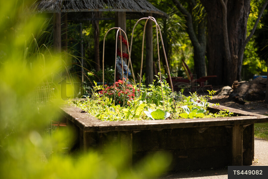 Garden at kindergarten