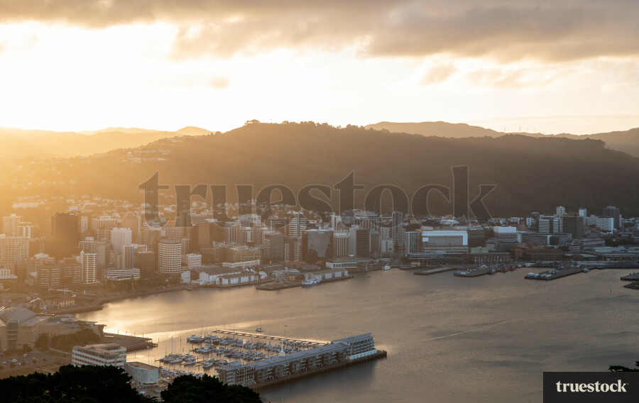 Wellington waterfront from the mountain top during sunset