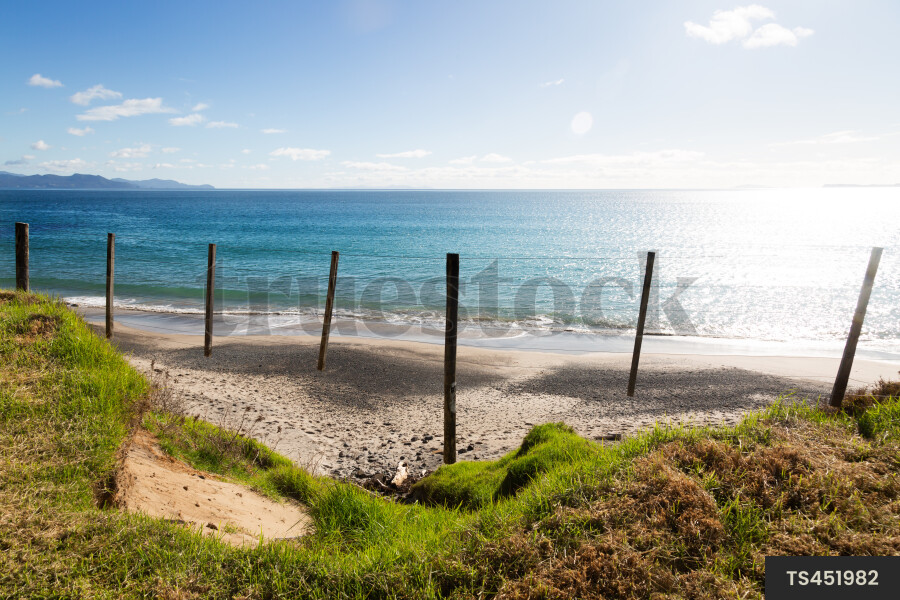 Wooden posts at beach