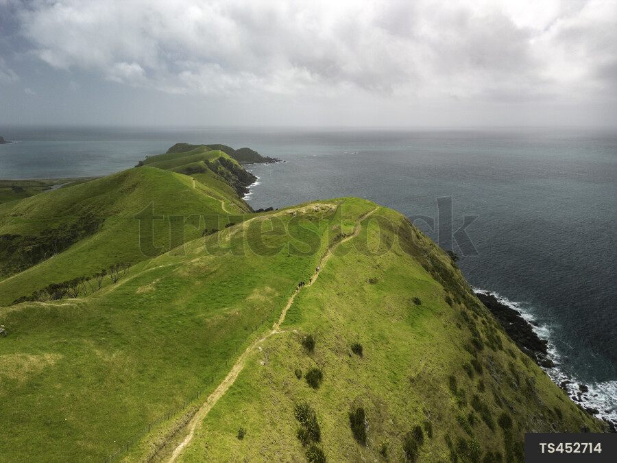 Coromandel Peninsula Landscape