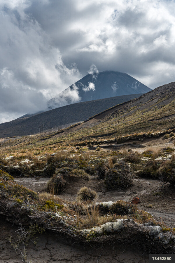 Tama Lakes Hike Landscape