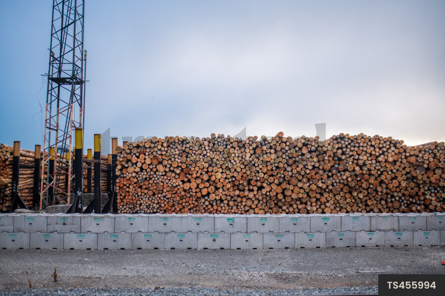 Pile of Logs at Port