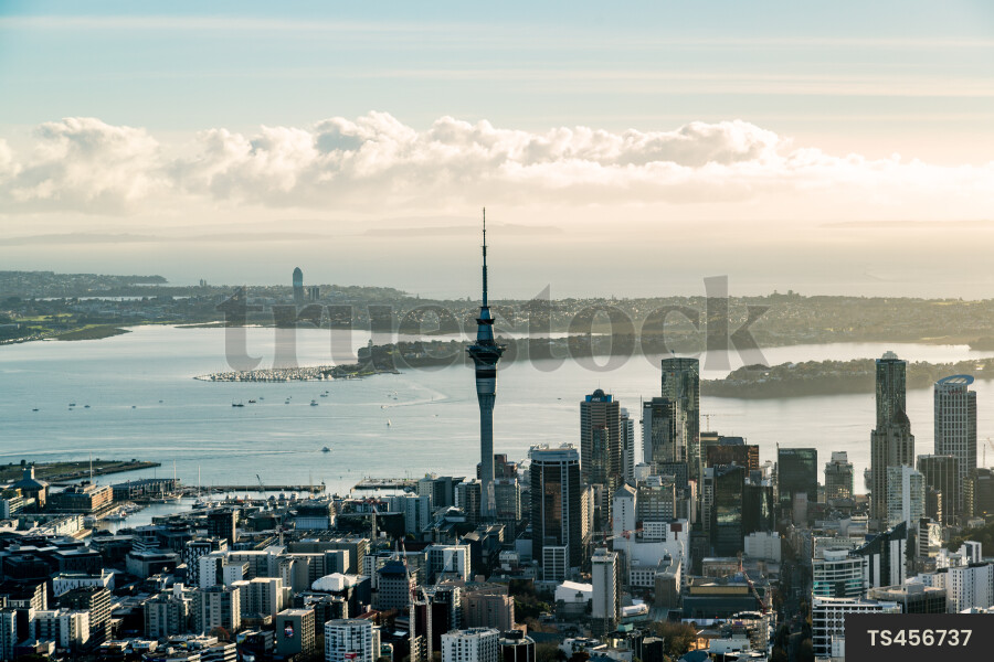 Aerial view of Auckland City