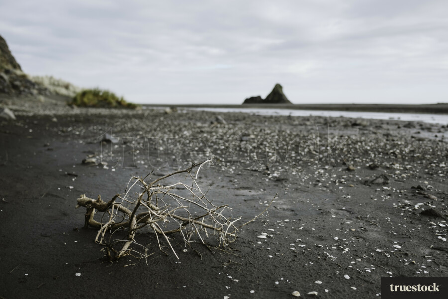 Karekare Beach