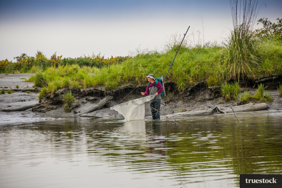 Whitebaiting on the West Coast