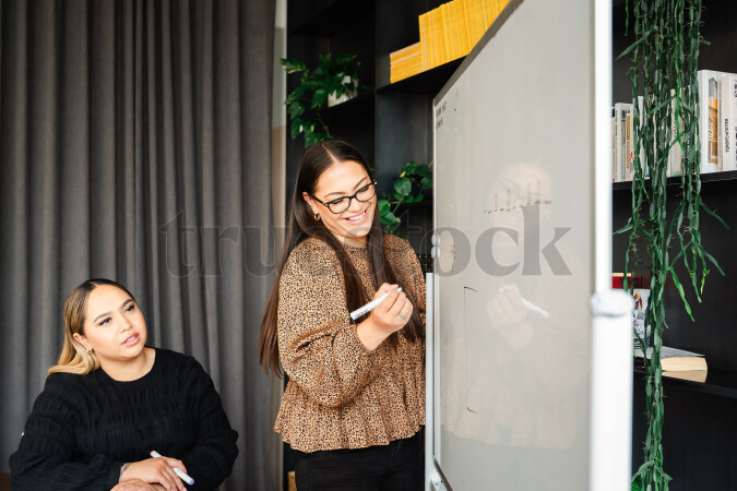 Woman Presenting in Meeting