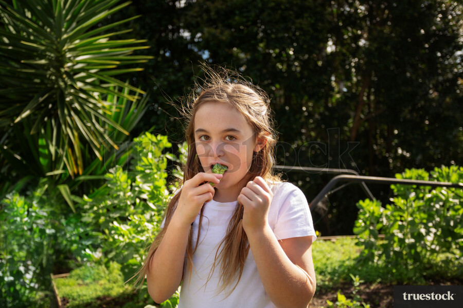 Young Girl eating Lettuce from Garden