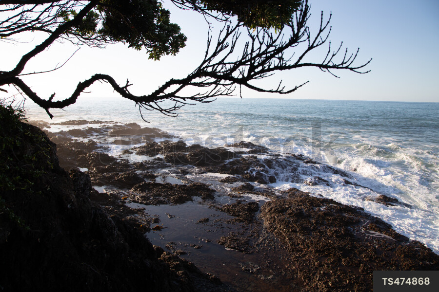 Te Kaha Coast