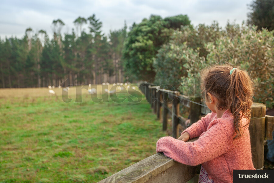Child standing on wooden fence at the farm