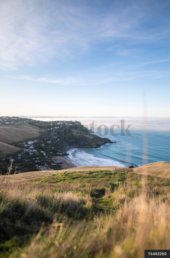 Coastline at Godley Head, Canterbury