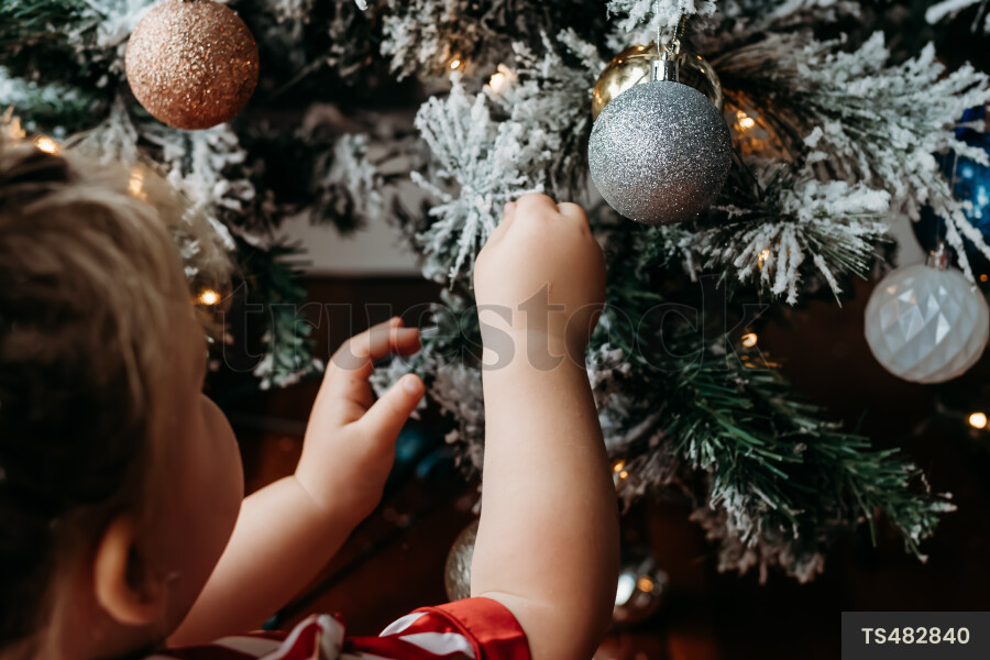 Young Girl with Christmas Tree