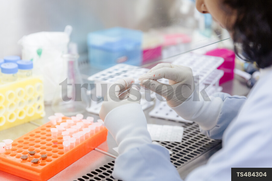 Scientist working in research laboratory