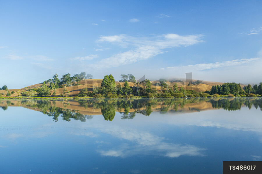 Trees and hills by Waikato River