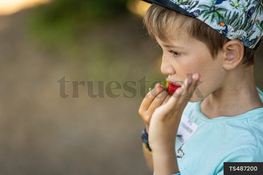 Boy eating strawberry