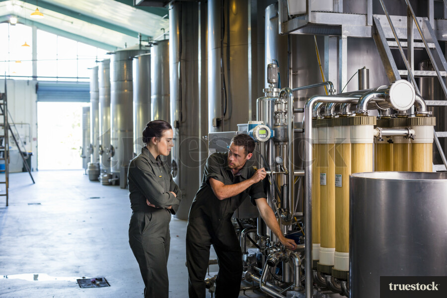 Workers Checking Machinery in Brewery