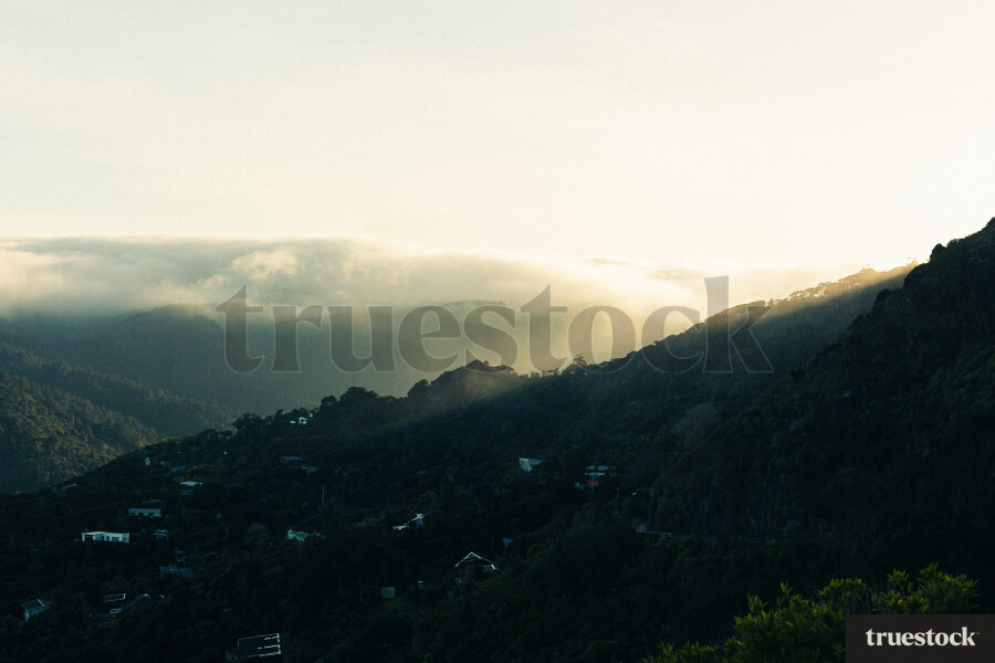 Piha Landscape