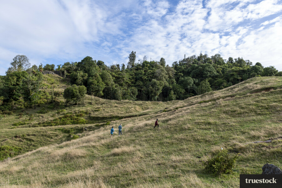 Whānau Camping Trip near Waitomo Caves