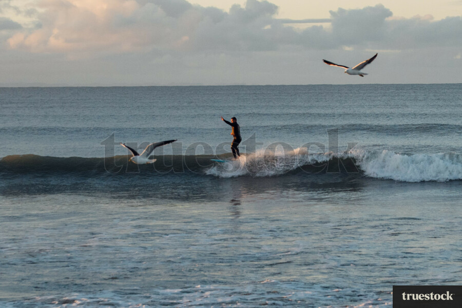 Surfing