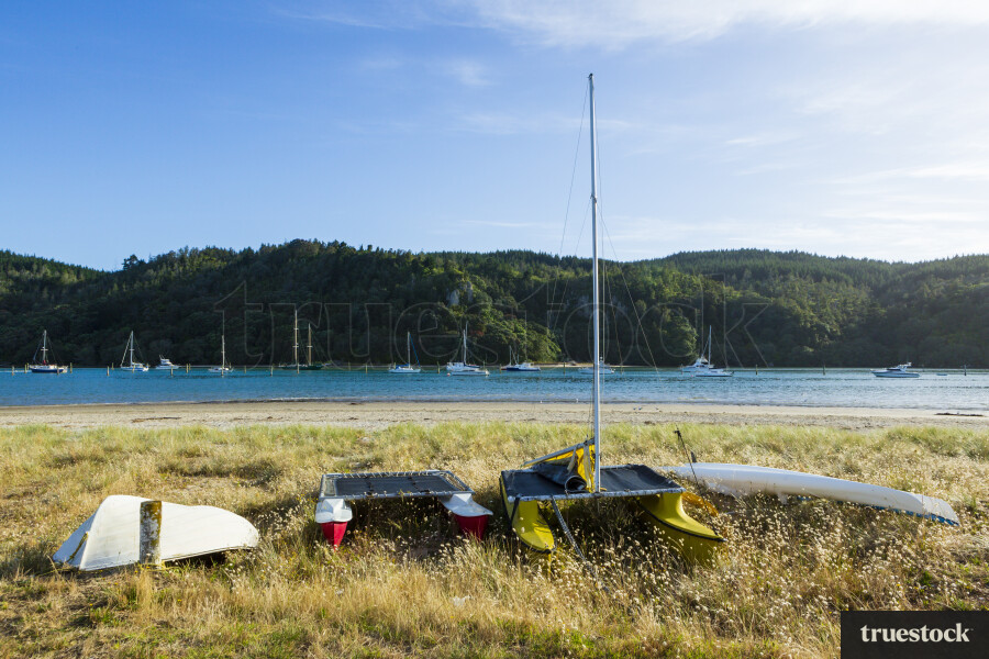 Boats on Grass By Beach