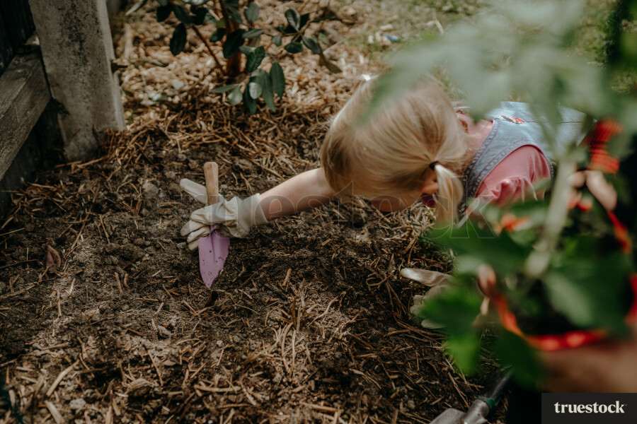 Young girl digging the garden