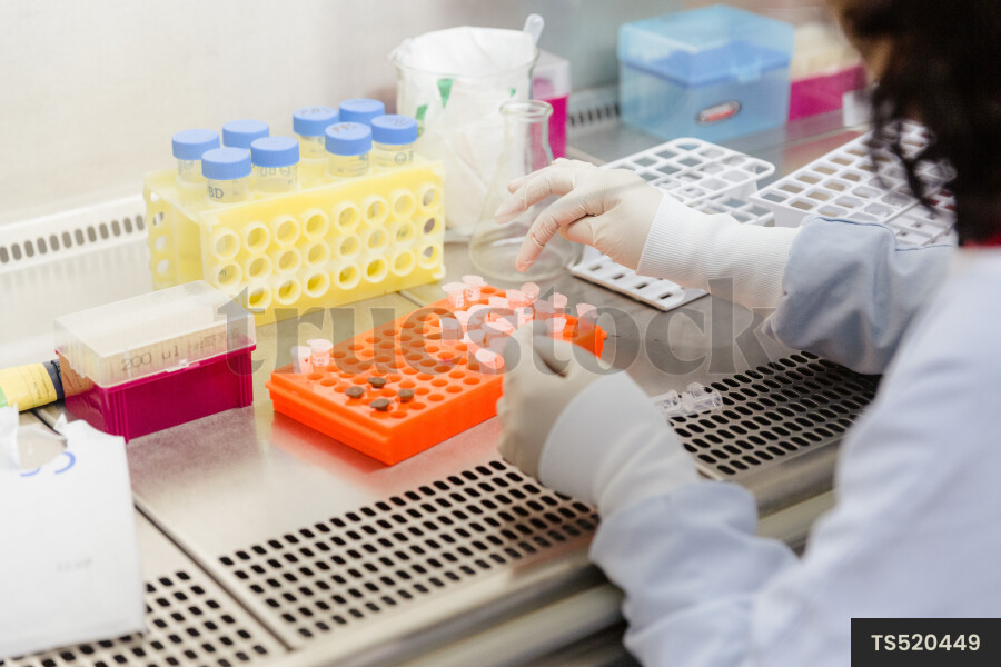 Scientist working in research laboratory