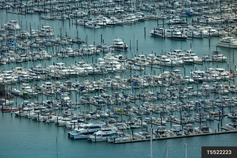 Boats in marina in Auckland