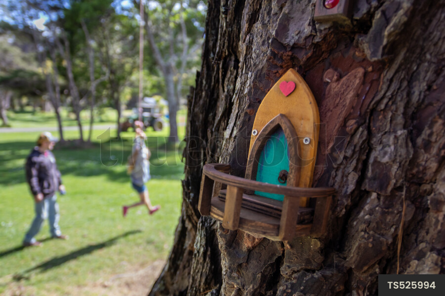 Birdhouse in tree trunk