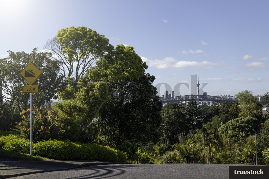 Auckland Harbour bridge & Sky Tower visible from street