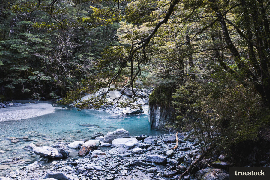 Rob Roy Stream, Mt Aspiring National Park