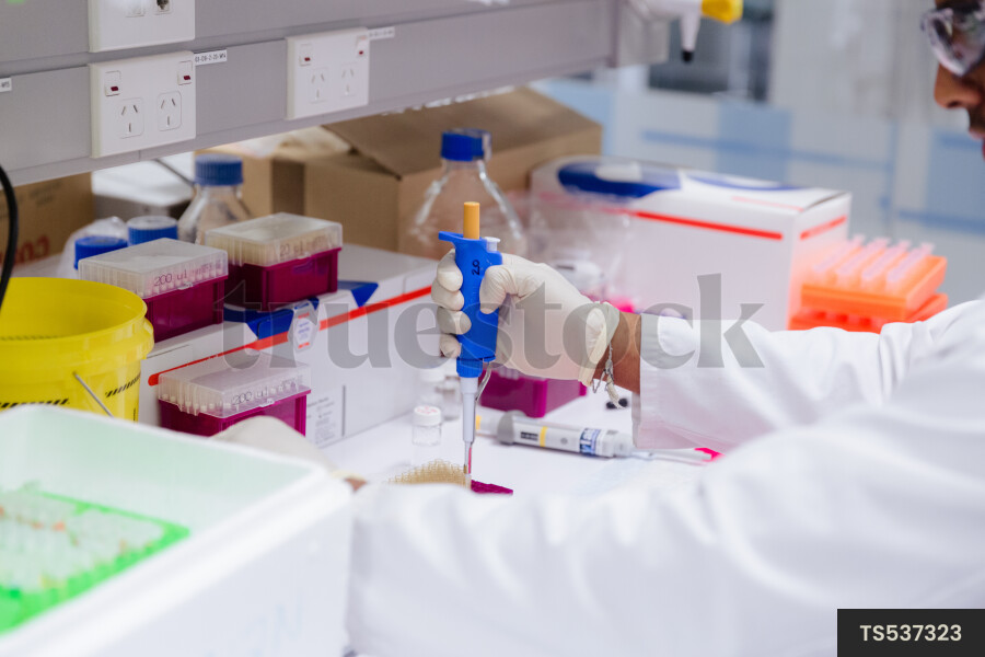 Scientist working in research laboratory