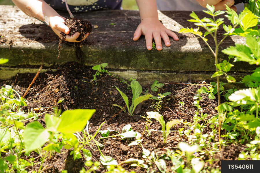 Children gardening at kindergarten