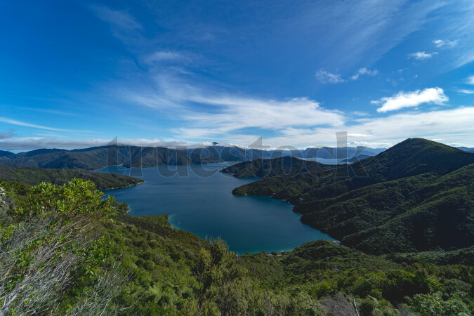 Queen Charlotte Sound
