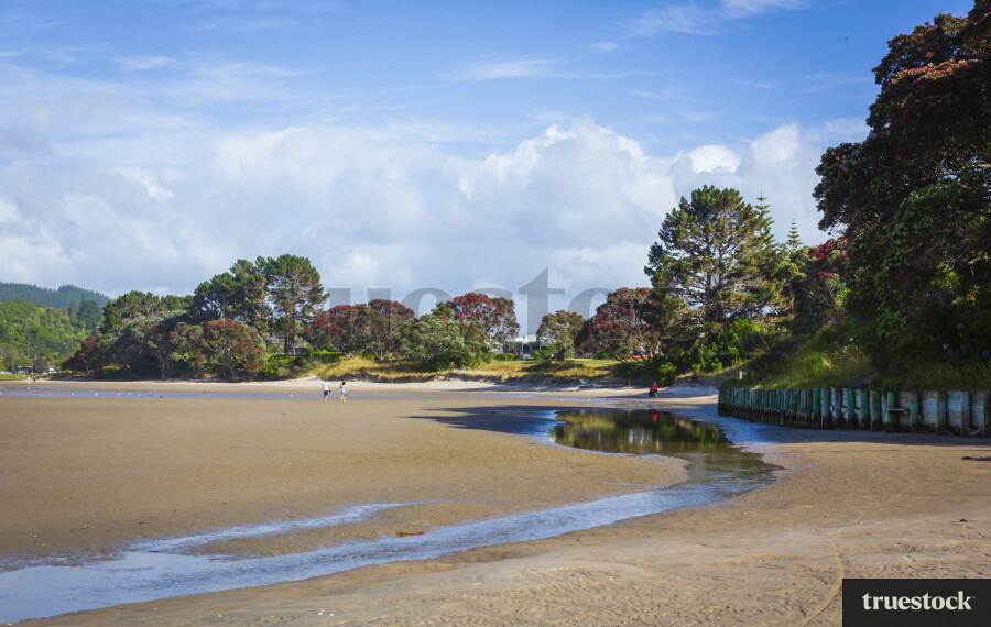 Low Tide at Beach