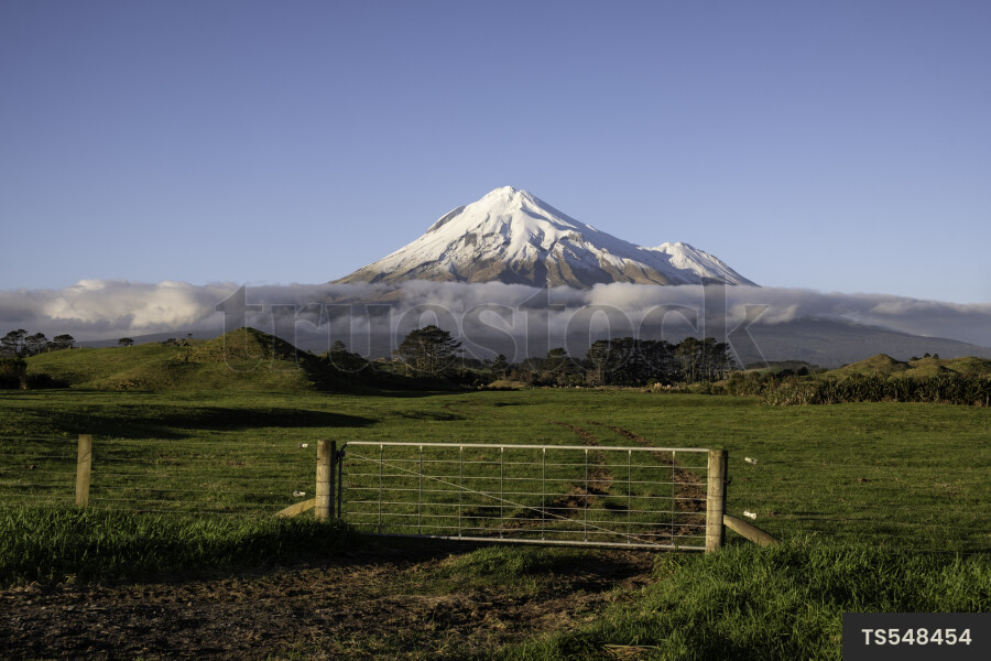 Gate on farm and Mount Taranaki