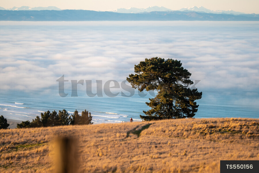 Fog over sea at Godley Head, Canterbury