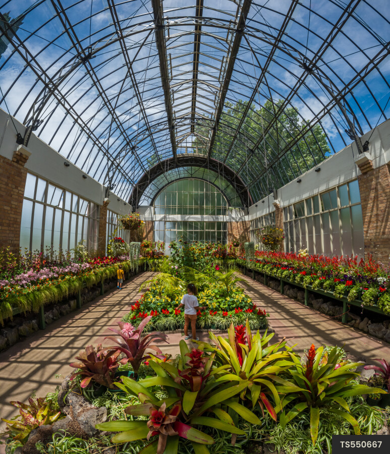 Greenhouse Garden