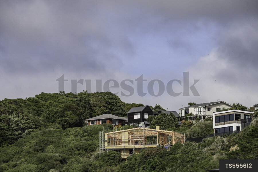 Houses surrounded by trees under clouds