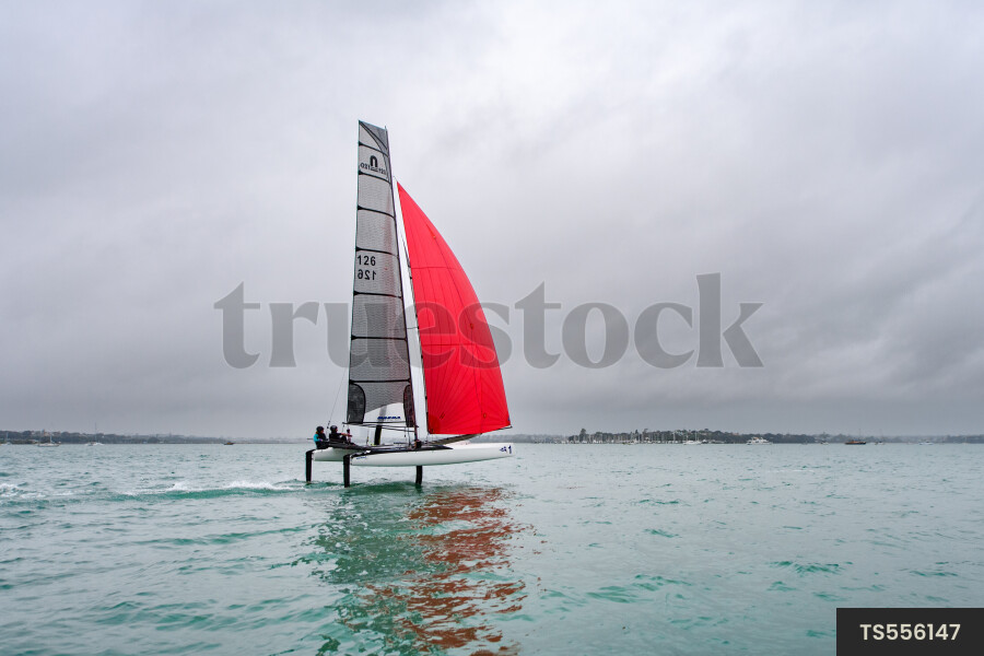 Catamaran in Waitemata Harbour