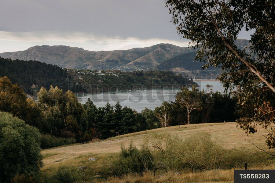 Port Levy in Canterbury