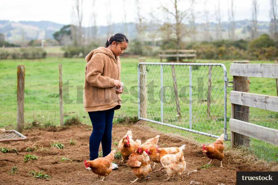 Girl Feeding Chickens