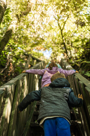 Kids on a Bush Walk