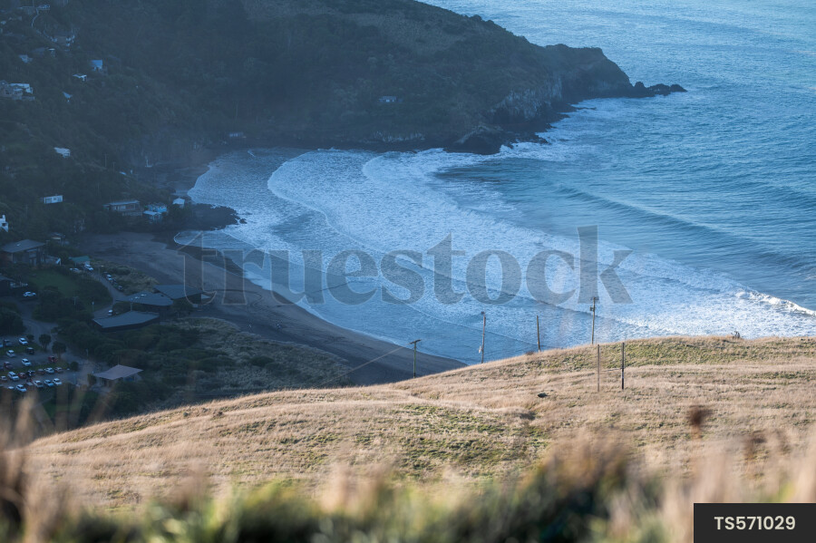 Coastline at Godley Head, Canterbury
