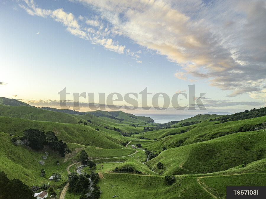 Coromandel Peninsula Landscape