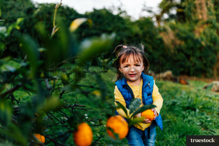 Girl Carrying Fruit from Tree