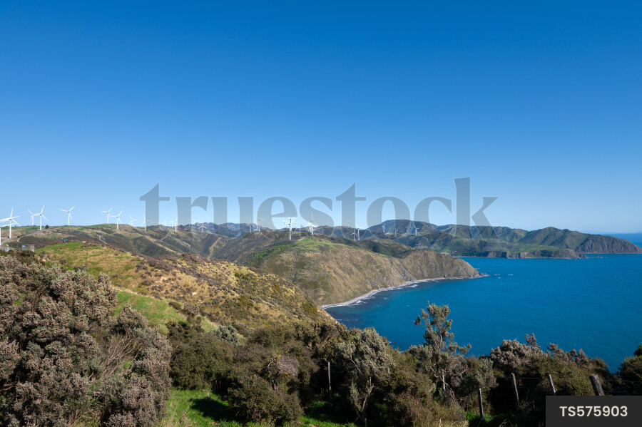 Makara West Wind Farm by sea in Wellington