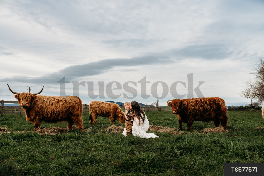 Woman with her son with highland cows on farm