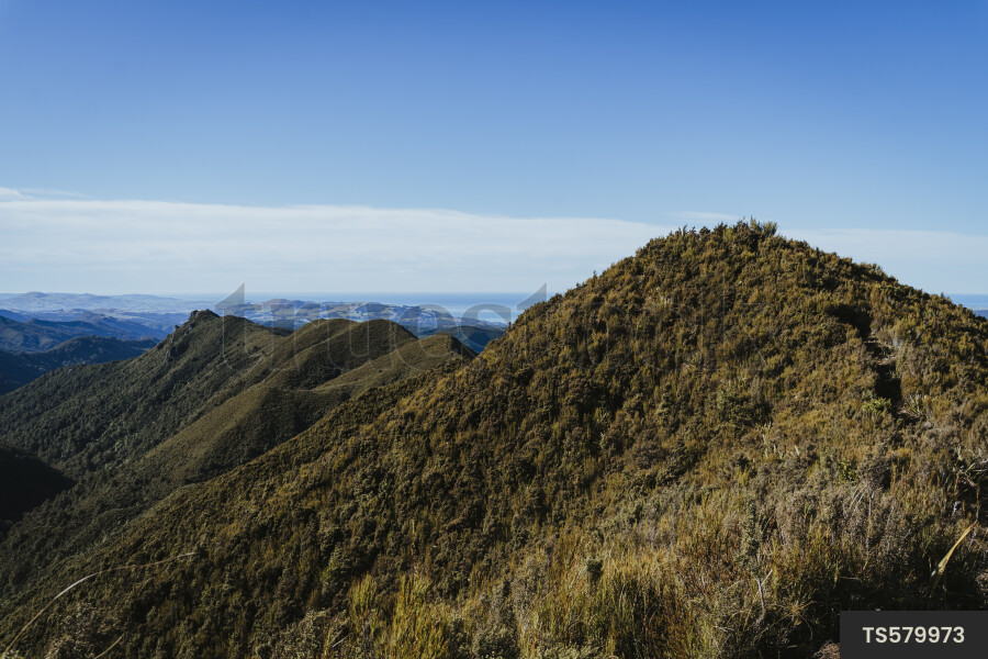 Silver Peaks Scenic Reserve
