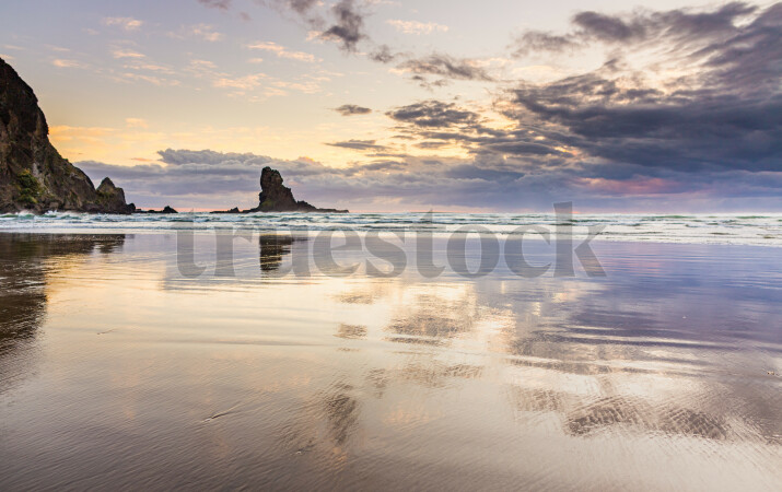Auckland West Coast Beaches